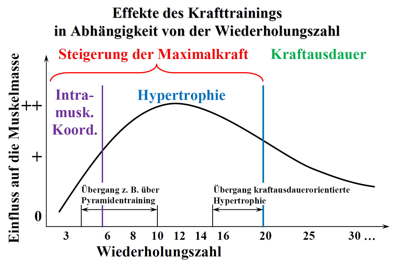 Analyse Krafttraining Analyse Krafttraining