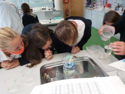 4C im Vienna Open Lab zur Abwasseruntersuchung