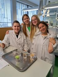 Die 4bwk im Vienna Open Lab