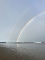 Irlandreise der 4a