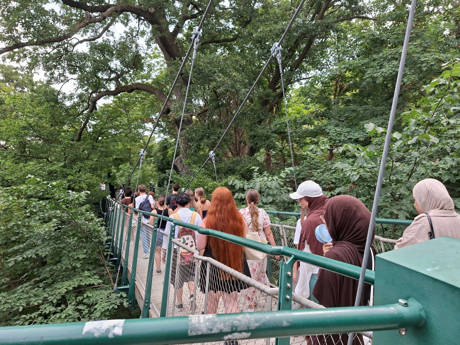 2B Zoo 3