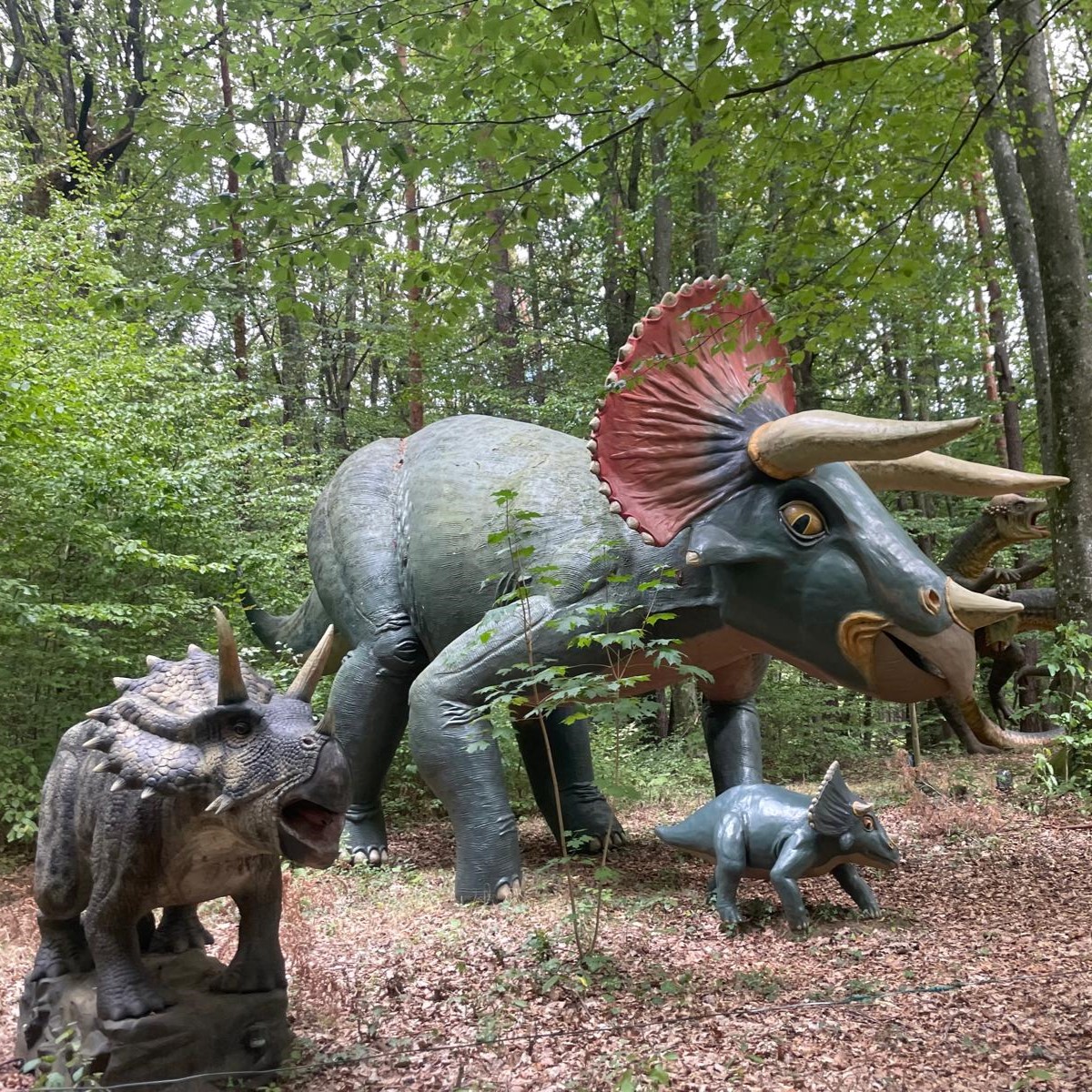 Im Land der  Dinosaurier (4A und 4C)